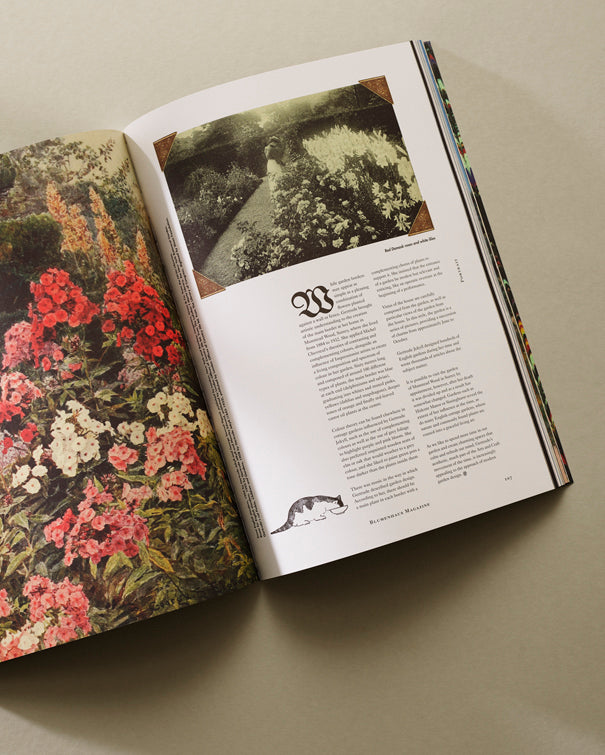 Blumenhaus Magazine #1
