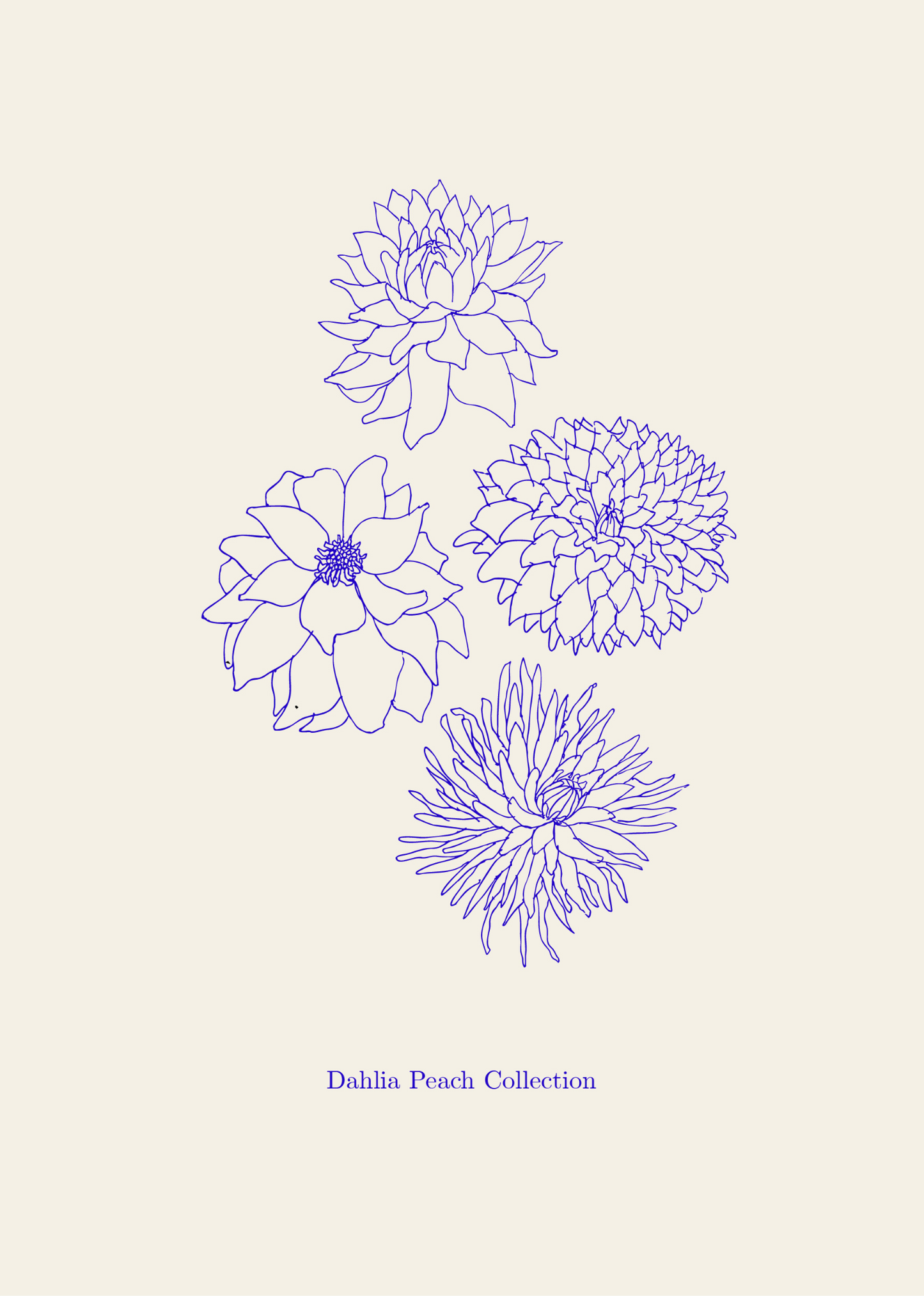 Dahlia Peach Collection