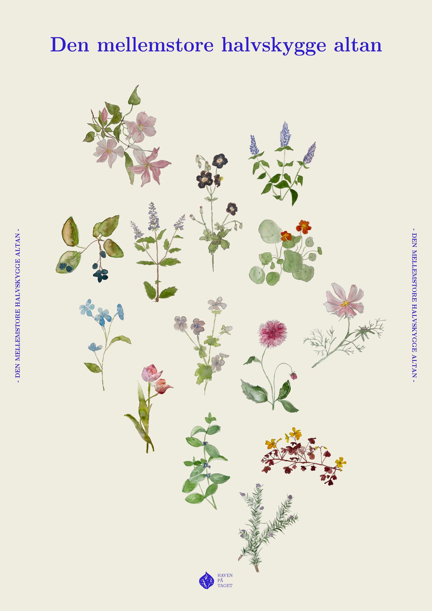 Den mellemstore halvskygge altan