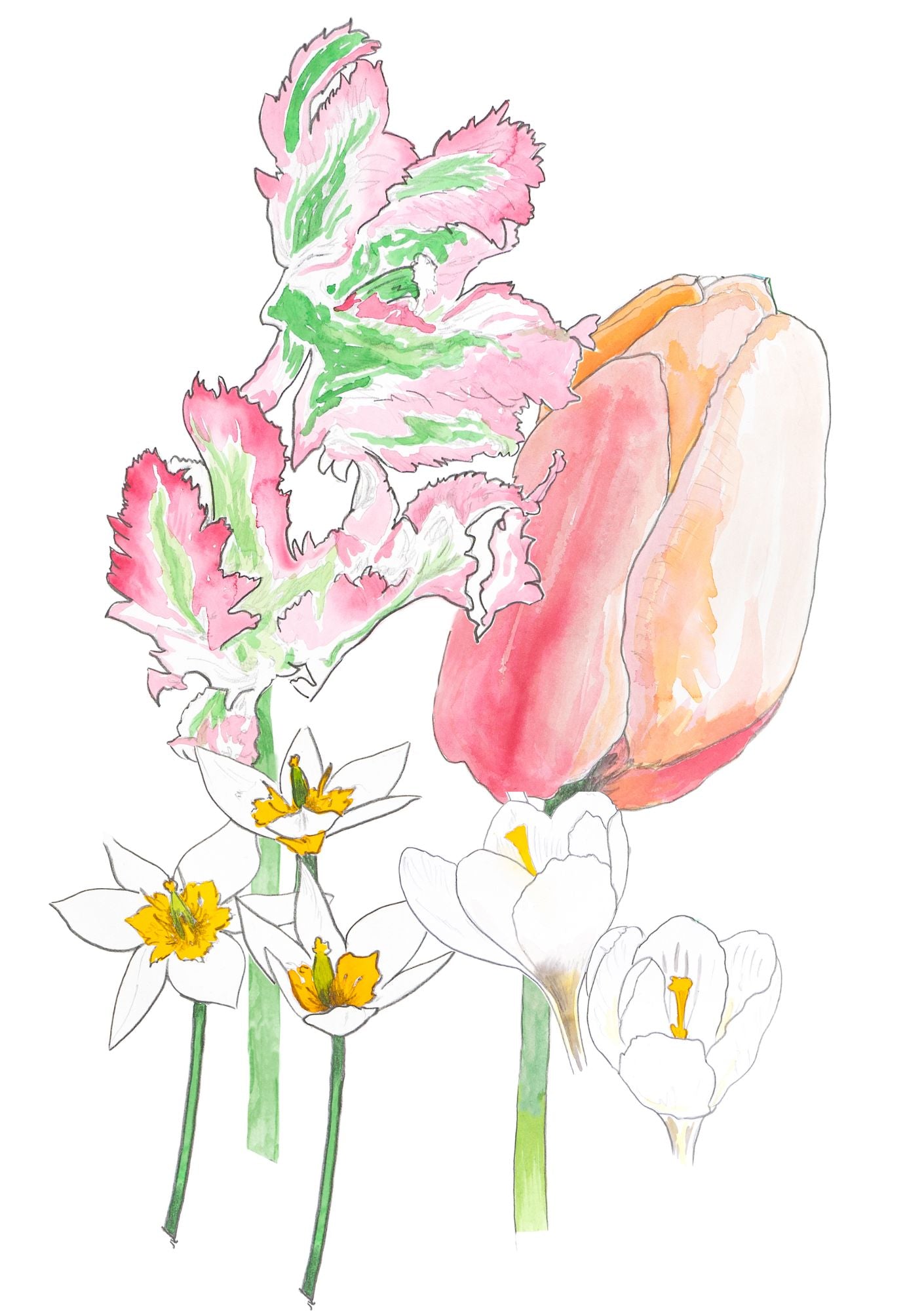 Løglasagne Rhubarb Candy (til krukke)