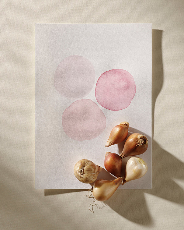 Løgblanding Blushing Meadow Collection