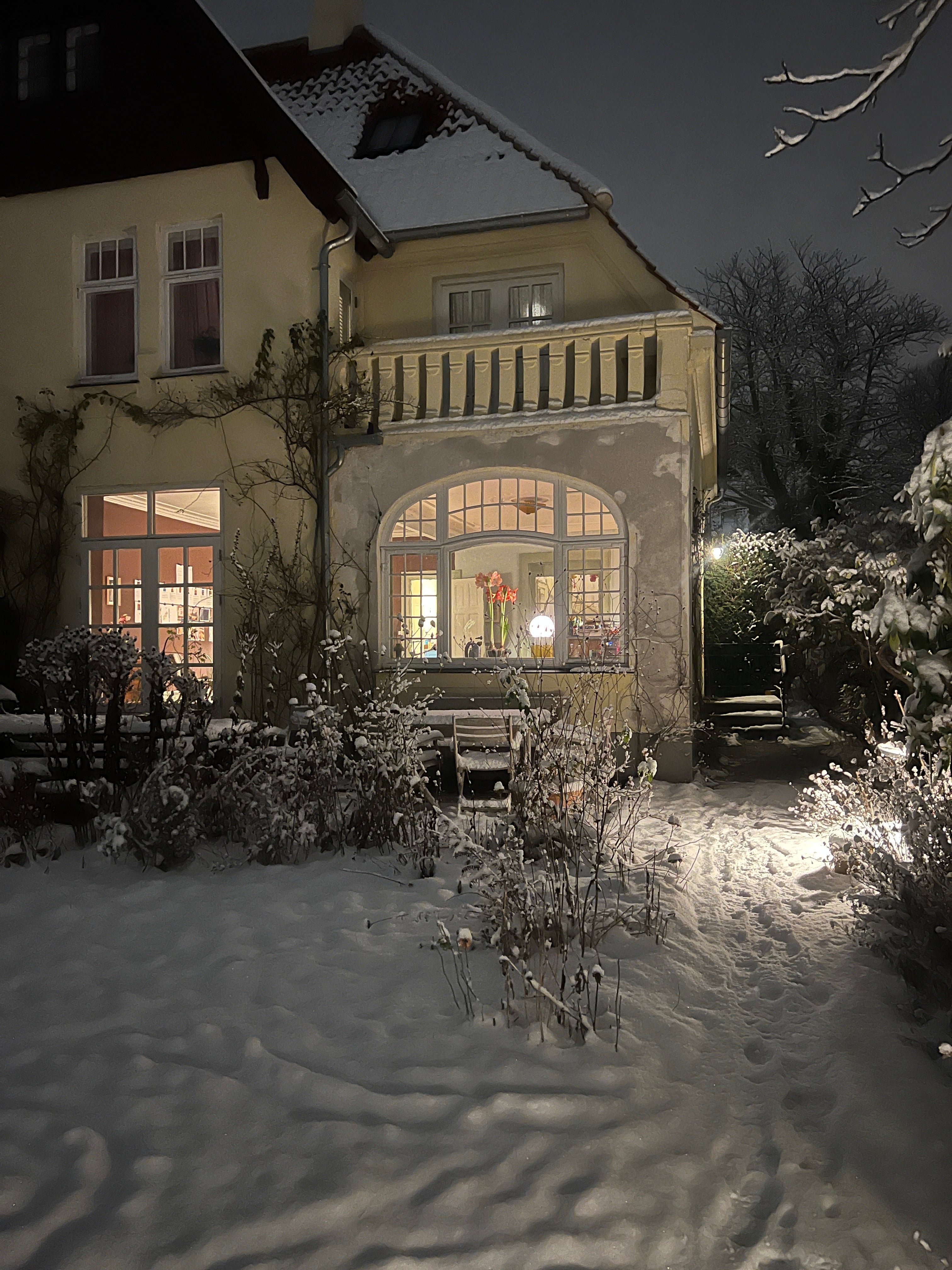 Havepleje i januar: 7 vigtige opgaver midt på vinteren