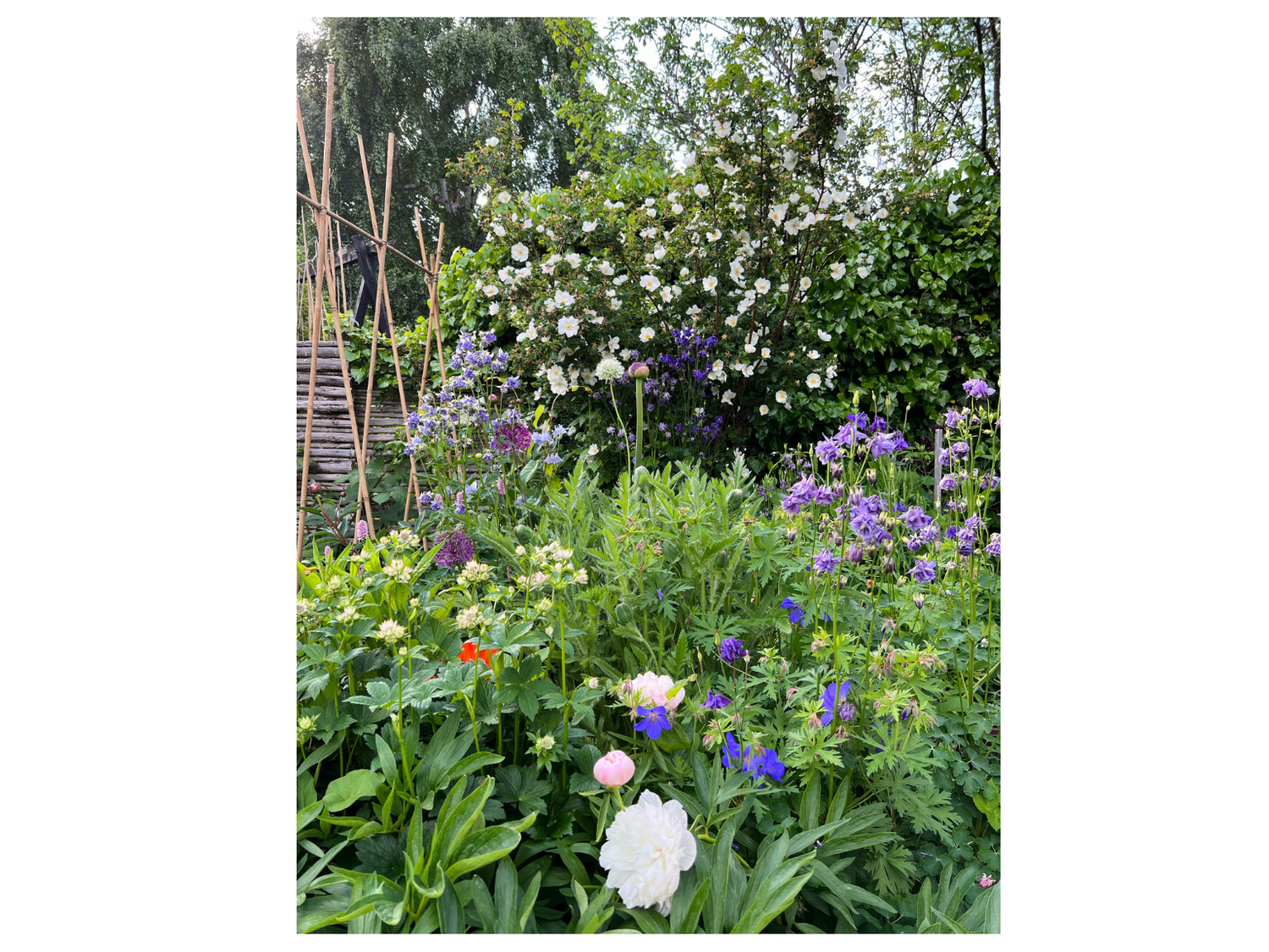 Digitale designs af bede og altaner