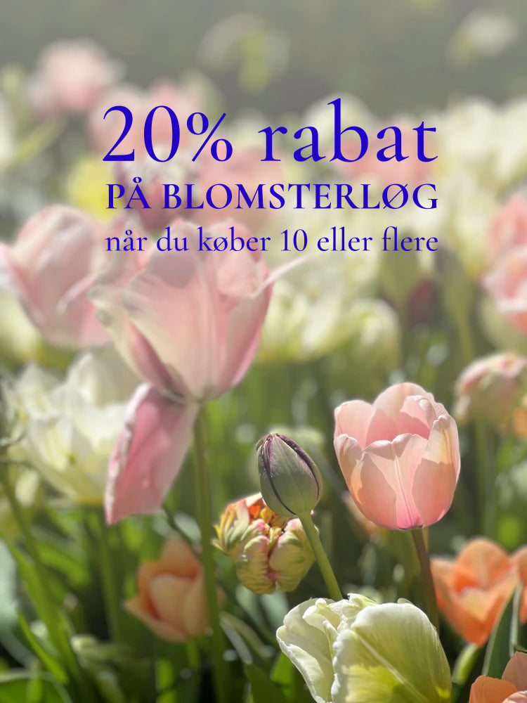 20% rabat på blomsterløg