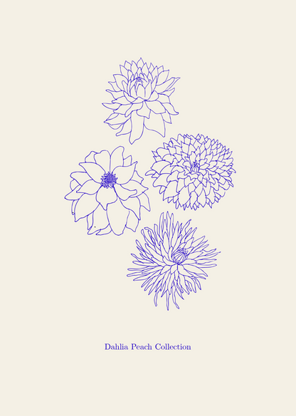 Dahlia Peach Collection