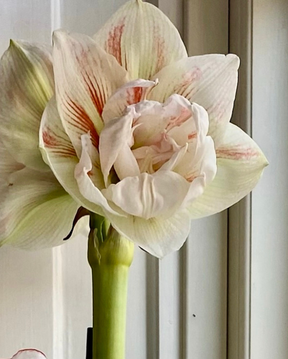 Adventskalender lille