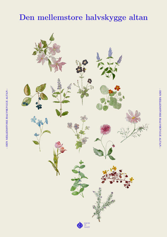 Den mellemstore halvskygge altan