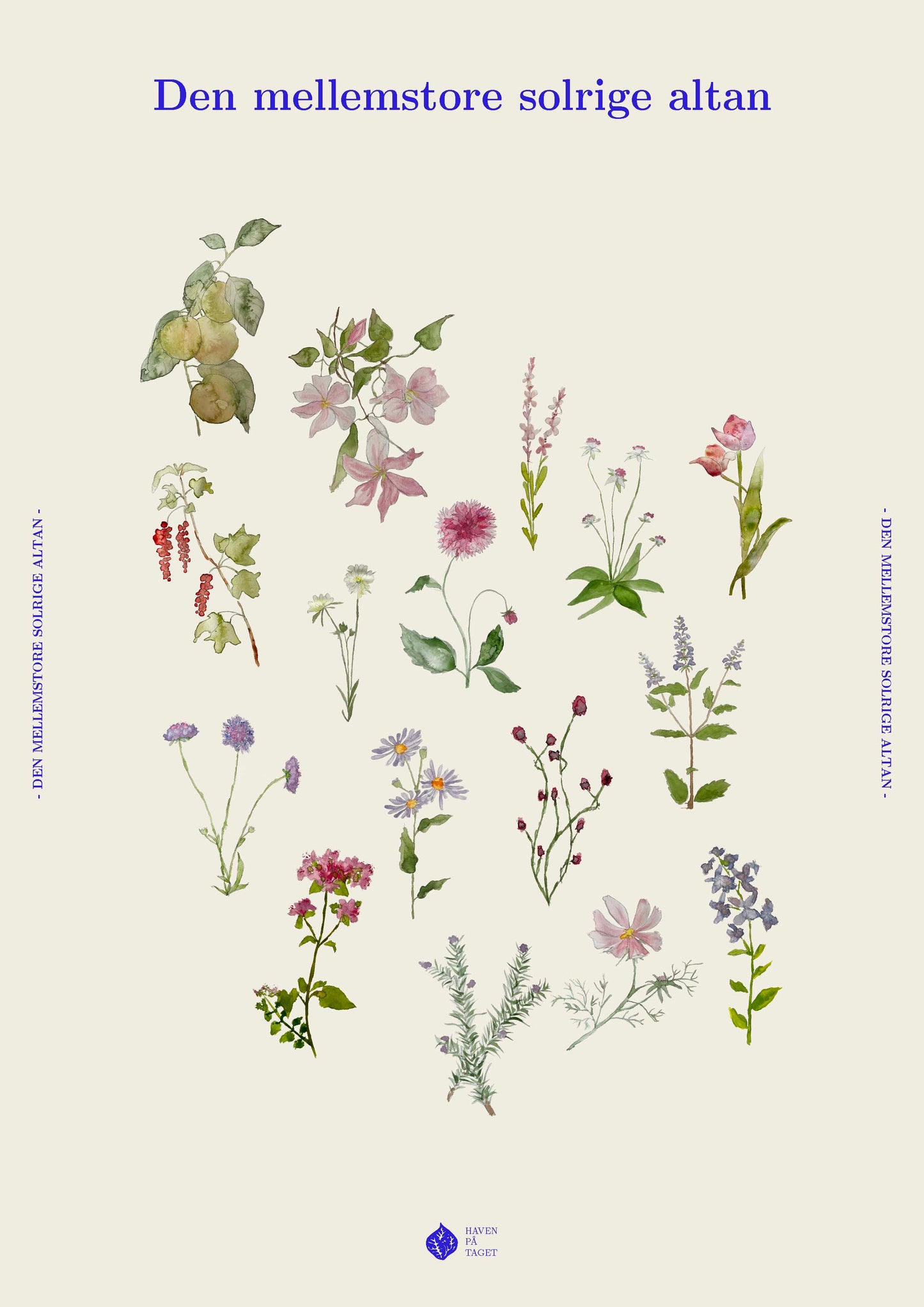 Den mellemstore solrige altan