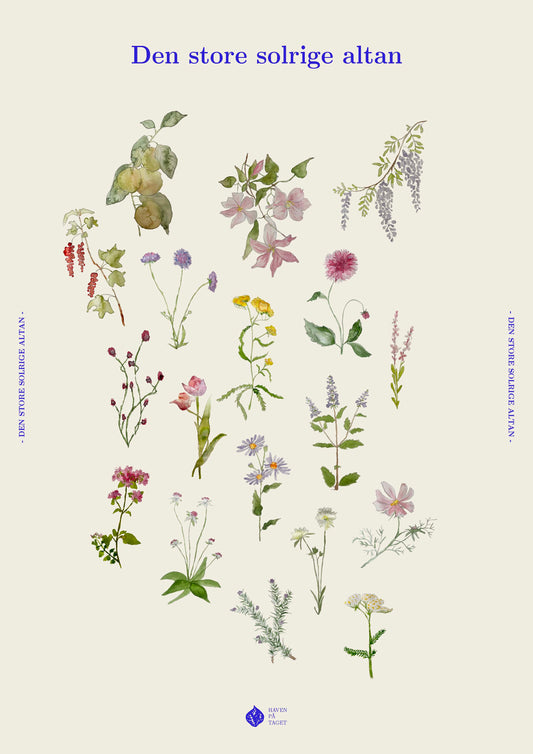 Den store solrige altan