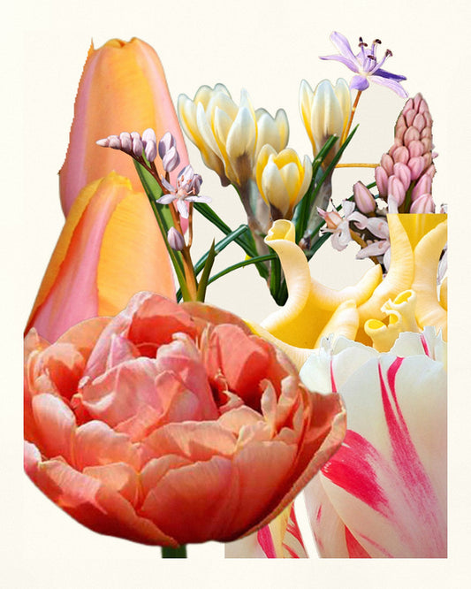 Løglasagne Peach