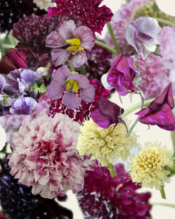 Spraglede buketter i haven - mørk