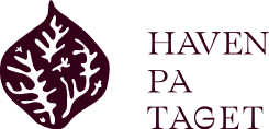Haven På Taget